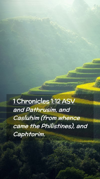 Picture 02 - 1 Chronicles 1:12 ASV Mobile Phone Wallpaper - and Pathrusim, and Casluhim (from whence came the - Mobile Bible Verse Wallpaper