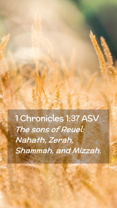 Picture 02 - 1 Chronicles 1:37 ASV Mobile Phone Wallpaper - The sons of Reuel: Nahath, Zerah, Shammah, and - Mobile Bible Verse Wallpaper