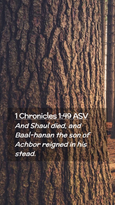 Picture 02 - 1 Chronicles 1:49 ASV Mobile Phone Wallpaper - And Shaul died, and Baal-hanan the son of Achbor - Mobile Bible Verse Wallpaper