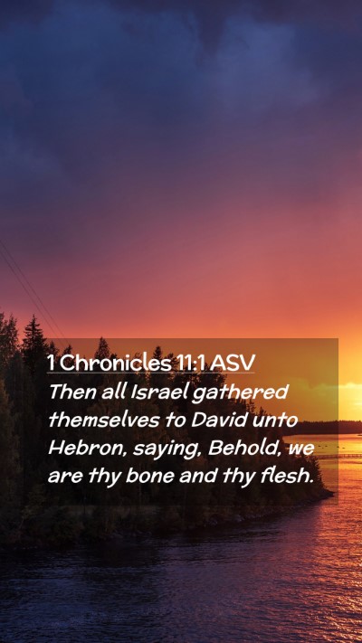 Picture 02 - 1 Chronicles 11:1 ASV Mobile Phone Wallpaper - Then all Israel gathered themselves to David unto - Mobile Bible Verse Wallpaper