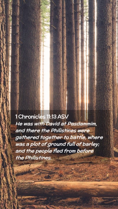 Picture 02 - 1 Chronicles 11:13 ASV Mobile Phone Wallpaper - He was with David at Pasdammim, and there the - Mobile Bible Verse Wallpaper