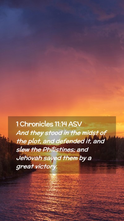 Picture 02 - 1 Chronicles 11:14 ASV Mobile Phone Wallpaper - And they stood in the midst of the plot, and - Mobile Bible Verse Wallpaper