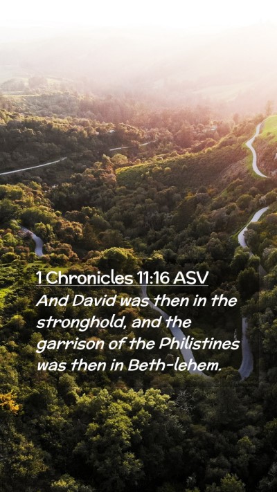 Picture 02 - 1 Chronicles 11:16 ASV Mobile Phone Wallpaper - And David was then in the stronghold, and the - Mobile Bible Verse Wallpaper
