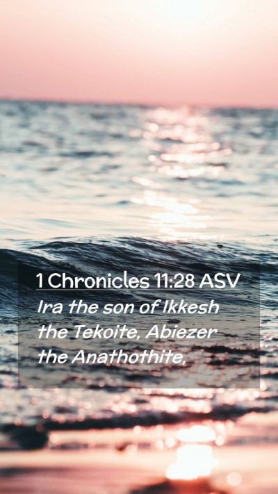 Picture 02 - 1 Chronicles 11:28 ASV Mobile Phone Wallpaper - Ira the son of Ikkesh the Tekoite, Abiezer the - Mobile Bible Verse Wallpaper