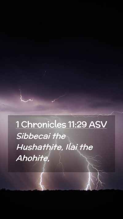 Picture 02 - 1 Chronicles 11:29 ASV Mobile Phone Wallpaper - Sibbecai the Hushathite, Ilai the - Mobile Bible Verse Wallpaper