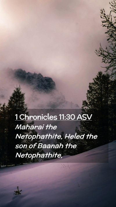 Picture 02 - 1 Chronicles 11:30 ASV Mobile Phone Wallpaper - Maharai the Netophathite, Heled the son of Baanah - Mobile Bible Verse Wallpaper