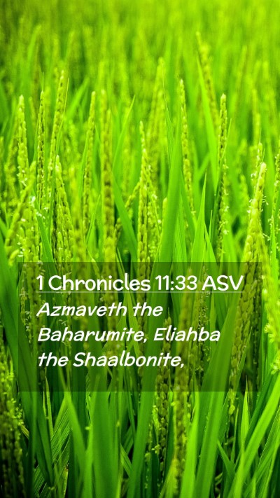 Picture 02 - 1 Chronicles 11:33 ASV Mobile Phone Wallpaper - Azmaveth the Baharumite, Eliahba the - Mobile Bible Verse Wallpaper