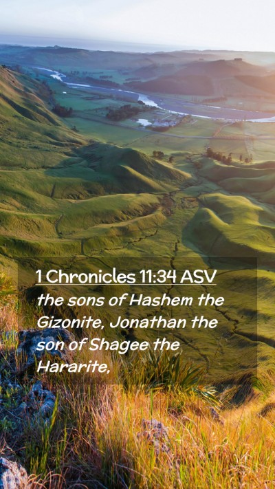 Picture 02 - 1 Chronicles 11:34 ASV Mobile Phone Wallpaper - the sons of Hashem the Gizonite, Jonathan the son - Mobile Bible Verse Wallpaper
