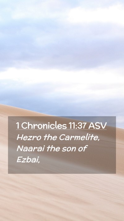 Picture 02 - 1 Chronicles 11:37 ASV Mobile Phone Wallpaper - Hezro the Carmelite, Naarai the son of - Mobile Bible Verse Wallpaper