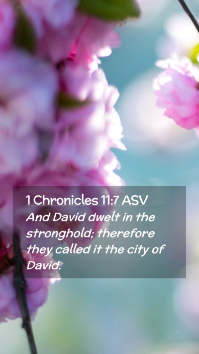 Picture 02 - 1 Chronicles 11:7 ASV Mobile Phone Wallpaper - And David dwelt in the stronghold; therefore they - Mobile Bible Verse Wallpaper