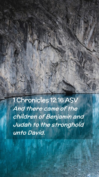 Picture 02 - 1 Chronicles 12:16 ASV Mobile Phone Wallpaper - And there came of the children of Benjamin and - Mobile Bible Verse Wallpaper