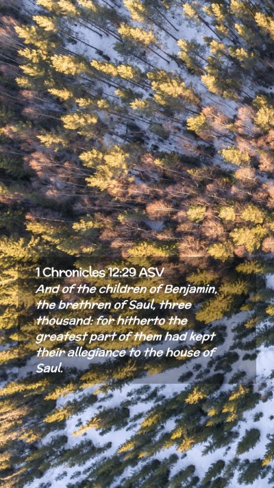Picture 02 - 1 Chronicles 12:29 ASV Mobile Phone Wallpaper - And of the children of Benjamin, the brethren of - Mobile Bible Verse Wallpaper