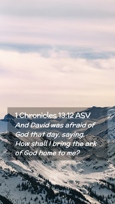 Picture 02 - 1 Chronicles 13:12 ASV Mobile Phone Wallpaper - And David was afraid of God that day, saying, How - Mobile Bible Verse Wallpaper