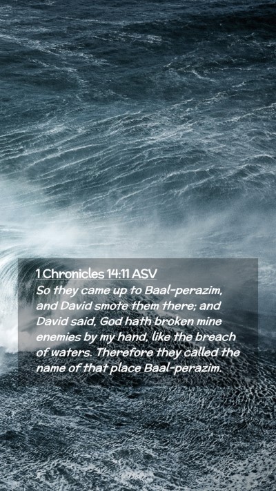 Picture 02 - 1 Chronicles 14:11 ASV Mobile Phone Wallpaper - So they came up to Baal-perazim, and David smote - Mobile Bible Verse Wallpaper