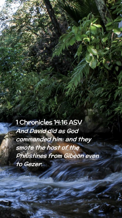 Picture 02 - 1 Chronicles 14:16 ASV Mobile Phone Wallpaper - And David did as God commanded him: and they - Mobile Bible Verse Wallpaper