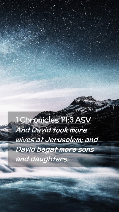 Picture 02 - 1 Chronicles 14:3 ASV Mobile Phone Wallpaper - And David took more wives at Jerusalem; and David - Mobile Bible Verse Wallpaper