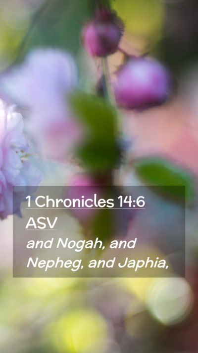 Picture 02 - 1 Chronicles 14:6 ASV Mobile Phone Wallpaper - and Nogah, and Nepheg, and - Mobile Bible Verse Wallpaper