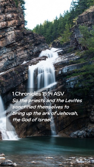 Picture 02 - 1 Chronicles 15:14 ASV Mobile Phone Wallpaper - So the priests and the Levites sanctified - Mobile Bible Verse Wallpaper