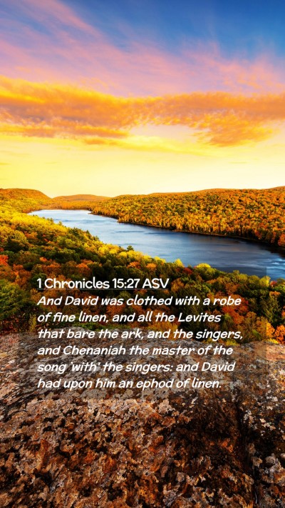 Picture 02 - 1 Chronicles 15:27 ASV Mobile Phone Wallpaper - And David was clothed with a robe of fine linen, - Mobile Bible Verse Wallpaper
