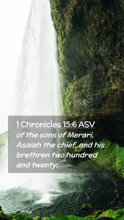 Picture 02 - 1 Chronicles 15:6 ASV Mobile Phone Wallpaper - of the sons of Merari, Asaiah the chief, and his - Mobile Bible Verse Wallpaper