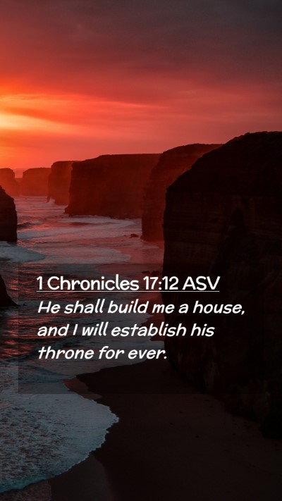 Picture 02 - 1 Chronicles 17:12 ASV Mobile Phone Wallpaper - He shall build me a house, and I will establish - Mobile Bible Verse Wallpaper