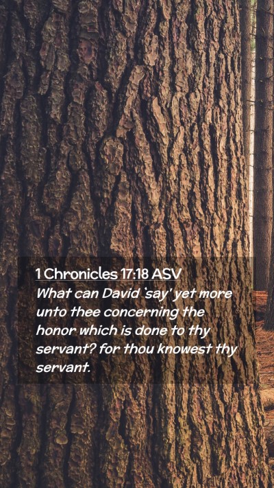 Picture 02 - 1 Chronicles 17:18 ASV Mobile Phone Wallpaper - What can David `say' yet more unto thee - Mobile Bible Verse Wallpaper