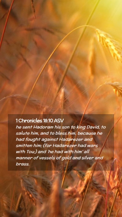 Picture 02 - 1 Chronicles 18:10 ASV Mobile Phone Wallpaper - he sent Hadoram his son to king David, to salute - Mobile Bible Verse Wallpaper