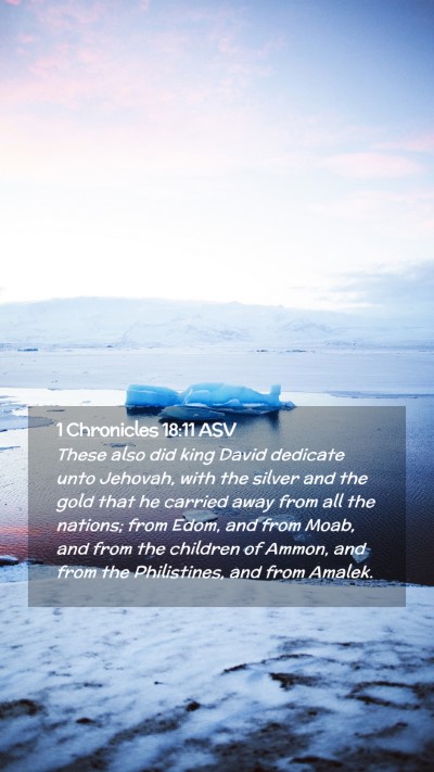 Picture 02 - 1 Chronicles 18:11 ASV Mobile Phone Wallpaper - These also did king David dedicate unto Jehovah, - Mobile Bible Verse Wallpaper