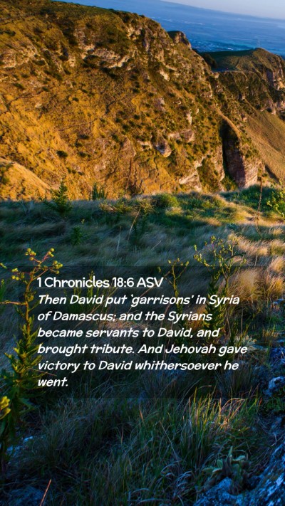 Picture 02 - 1 Chronicles 18:6 ASV Mobile Phone Wallpaper - Then David put `garrisons' in Syria of Damascus; - Mobile Bible Verse Wallpaper