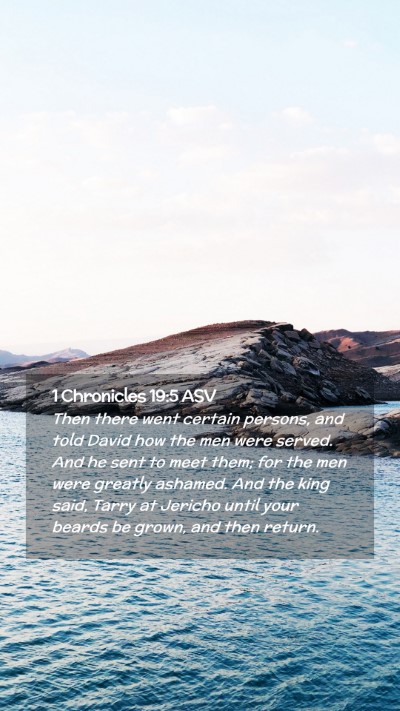 Picture 02 - 1 Chronicles 19:5 ASV Mobile Phone Wallpaper - Then there went certain persons, and told David - Mobile Bible Verse Wallpaper