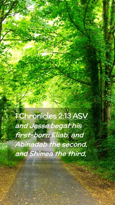 Picture 02 - 1 Chronicles 2:13 ASV Mobile Phone Wallpaper - and Jesse begat his first-born Eliab, and - Mobile Bible Verse Wallpaper