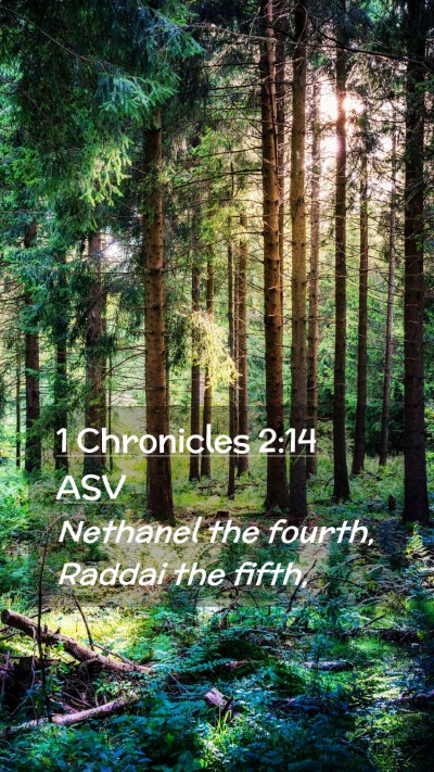 Picture 02 - 1 Chronicles 2:14 ASV Mobile Phone Wallpaper - Nethanel the fourth, Raddai the - Mobile Bible Verse Wallpaper