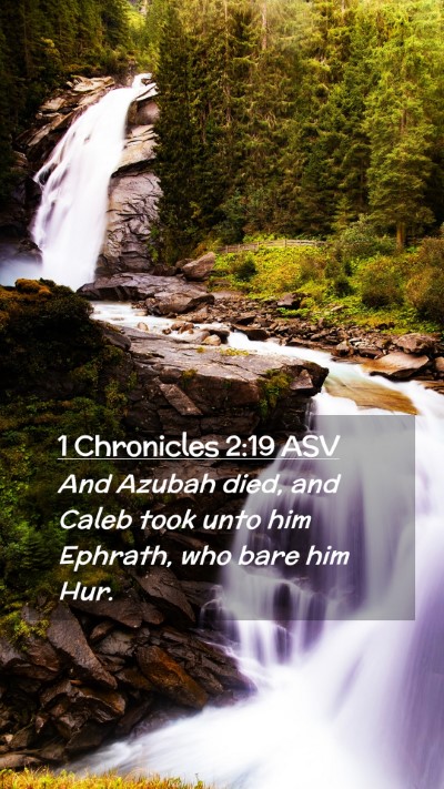 Picture 02 - 1 Chronicles 2:19 ASV Mobile Phone Wallpaper - And Azubah died, and Caleb took unto him Ephrath, - Mobile Bible Verse Wallpaper