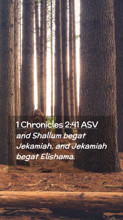 Picture 02 - 1 Chronicles 2:41 ASV Mobile Phone Wallpaper - and Shallum begat Jekamiah, and Jekamiah begat - Mobile Bible Verse Wallpaper
