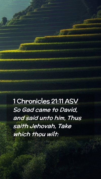 Picture 02 - 1 Chronicles 21:11 ASV Mobile Phone Wallpaper - So Gad came to David, and said unto him, Thus - Mobile Bible Verse Wallpaper