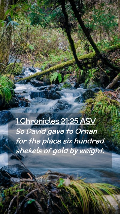 Picture 02 - 1 Chronicles 21:25 ASV Mobile Phone Wallpaper - So David gave to Ornan for the place six hundred - Mobile Bible Verse Wallpaper