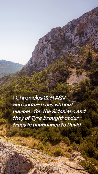 Picture 02 - 1 Chronicles 22:4 ASV Mobile Phone Wallpaper - and cedar-trees without number: for the Sidonians - Mobile Bible Verse Wallpaper