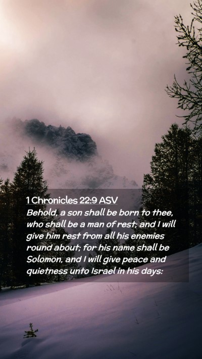 Picture 02 - 1 Chronicles 22:9 ASV Mobile Phone Wallpaper - Behold, a son shall be born to thee, who shall be - Mobile Bible Verse Wallpaper
