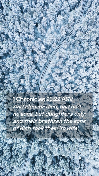 Picture 02 - 1 Chronicles 23:22 ASV Mobile Phone Wallpaper - And Eleazar died, and had no sons, but daughters - Mobile Bible Verse Wallpaper