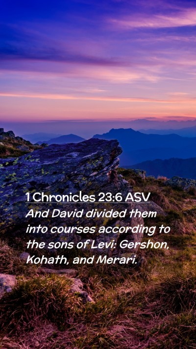 Picture 02 - 1 Chronicles 23:6 ASV Mobile Phone Wallpaper - And David divided them into courses according to - Mobile Bible Verse Wallpaper
