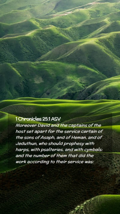 Picture 02 - 1 Chronicles 25:1 ASV Mobile Phone Wallpaper - Moreover David and the captains of the host set - Mobile Bible Verse Wallpaper