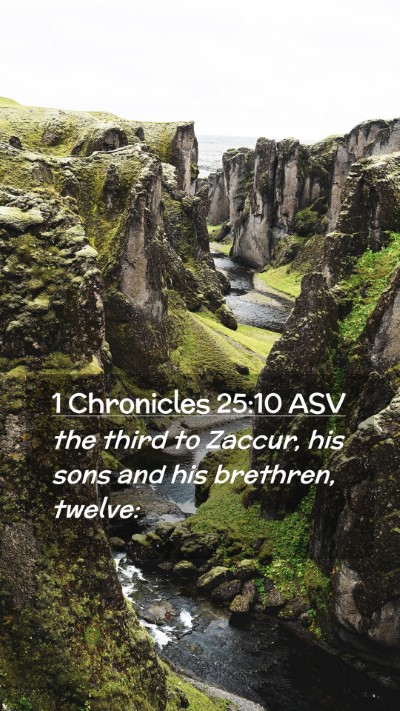 Picture 02 - 1 Chronicles 25:10 ASV Mobile Phone Wallpaper - the third to Zaccur, his sons and his brethren, - Mobile Bible Verse Wallpaper
