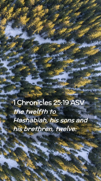 Picture 02 - 1 Chronicles 25:19 ASV Mobile Phone Wallpaper - the twelfth to Hashabiah, his sons and his - Mobile Bible Verse Wallpaper