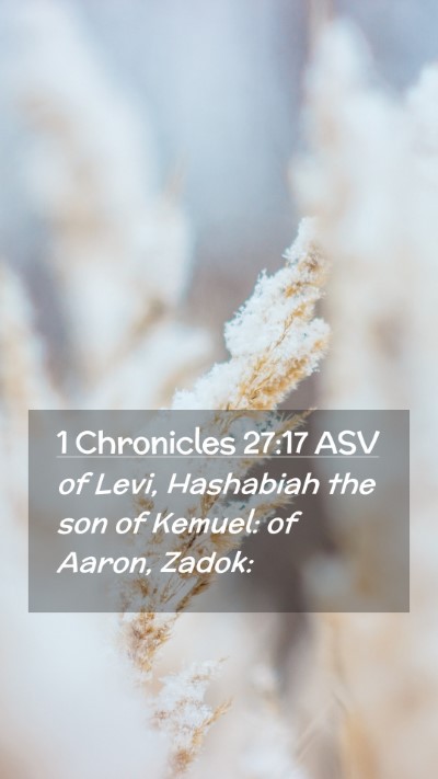Picture 02 - 1 Chronicles 27:17 ASV Mobile Phone Wallpaper - of Levi, Hashabiah the son of Kemuel: of Aaron, - Mobile Bible Verse Wallpaper