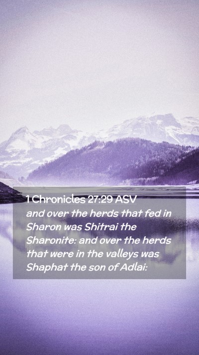 Picture 02 - 1 Chronicles 27:29 ASV Mobile Phone Wallpaper - and over the herds that fed in Sharon was Shitrai - Mobile Bible Verse Wallpaper