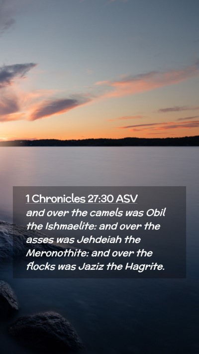 Picture 02 - 1 Chronicles 27:30 ASV Mobile Phone Wallpaper - and over the camels was Obil the Ishmaelite: and - Mobile Bible Verse Wallpaper