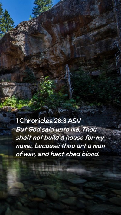 Picture 02 - 1 Chronicles 28:3 ASV Mobile Phone Wallpaper - But God said unto me, Thou shalt not build a - Mobile Bible Verse Wallpaper