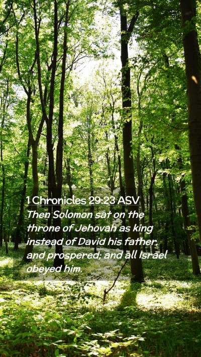 Picture 02 - 1 Chronicles 29:23 ASV Mobile Phone Wallpaper - Then Solomon sat on the throne of Jehovah as king - Mobile Bible Verse Wallpaper