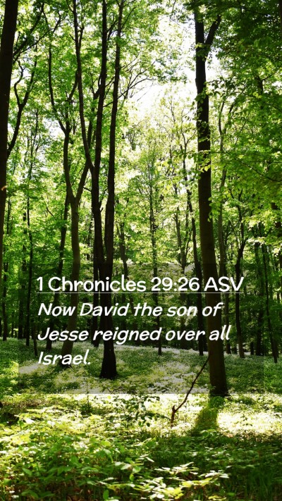 Picture 02 - 1 Chronicles 29:26 ASV Mobile Phone Wallpaper - Now David the son of Jesse reigned over all - Mobile Bible Verse Wallpaper