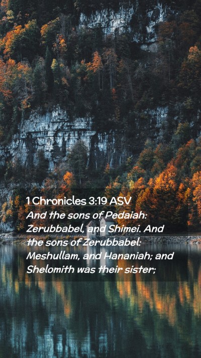Picture 02 - 1 Chronicles 3:19 ASV Mobile Phone Wallpaper - And the sons of Pedaiah: Zerubbabel, and Shimei. - Mobile Bible Verse Wallpaper
